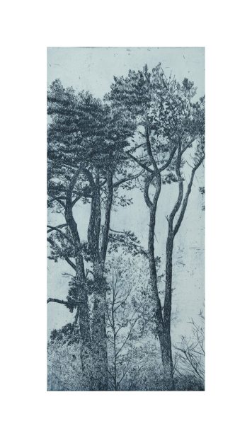 St. Andrews Pines II