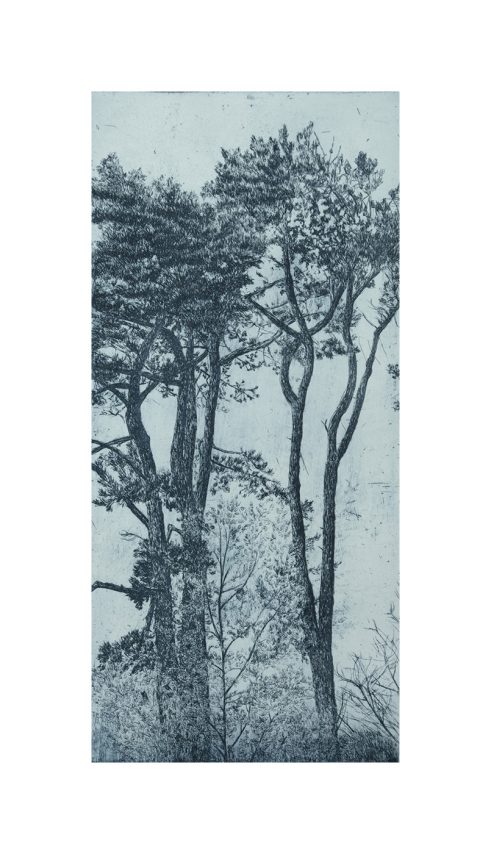 St. Andrews Pines II