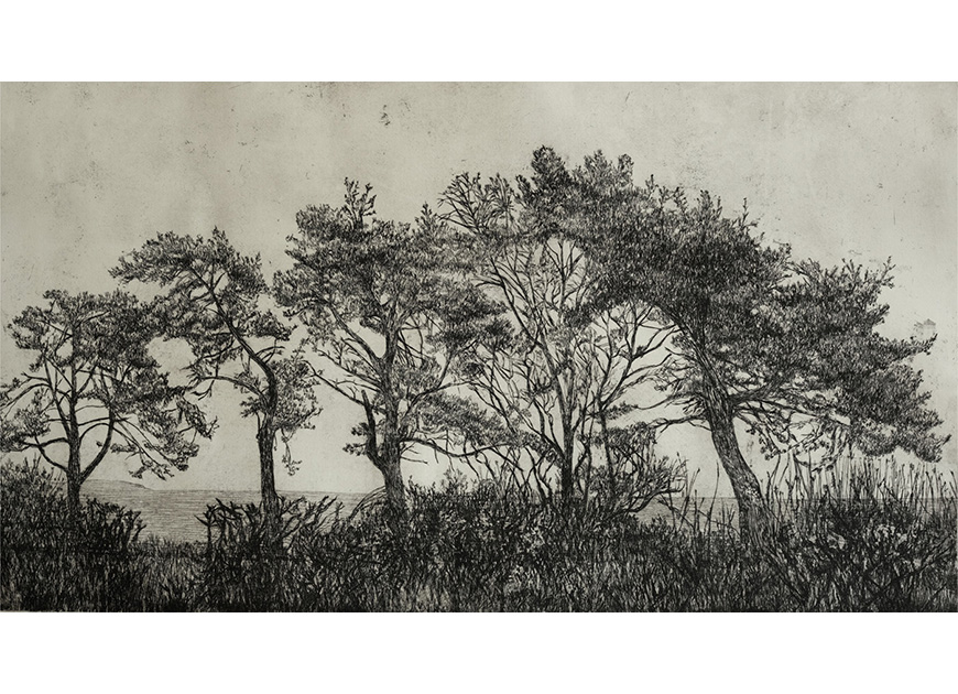 Exhibitions Etched Landscape | Kirstie Behrens