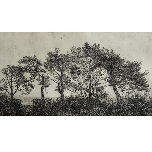Kirstie Behrens Etched Landscape | Kirstie Behrens