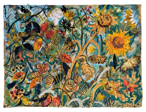 Allotment Sunflowers