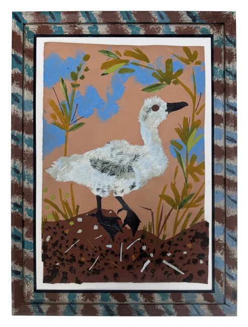 Cygnet