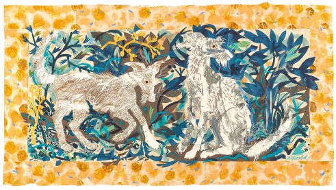 Deerhound Lurchers