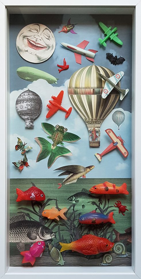 What do Fish Dream About?