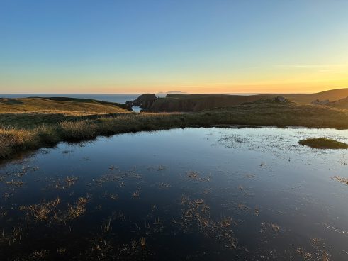 Westerwick, Shetland