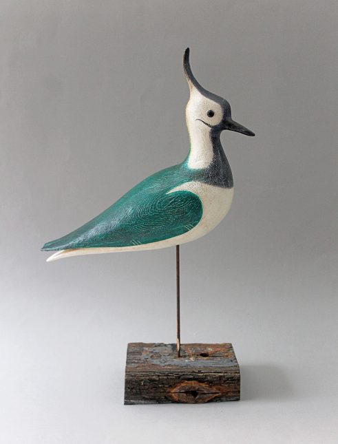 Lapwing