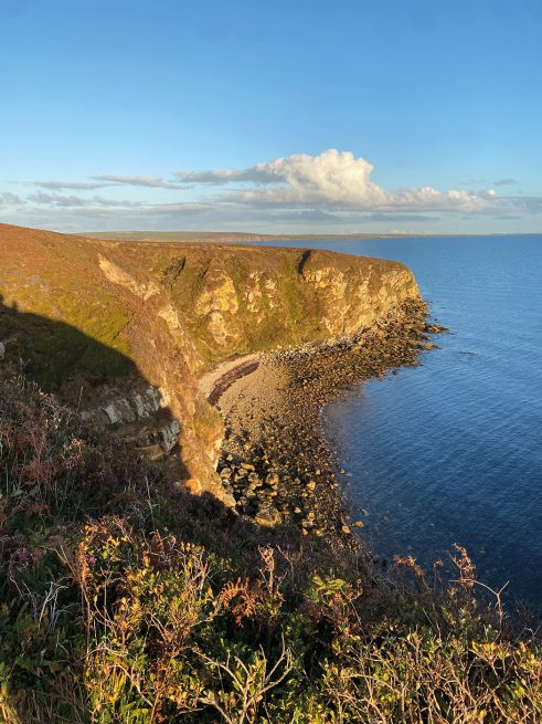 RSPB Hobbister, Orkney