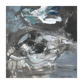 Gannet Flying, Winter