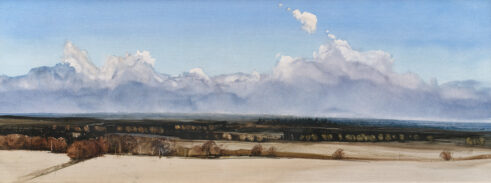 Farnell, 8.ii.2001