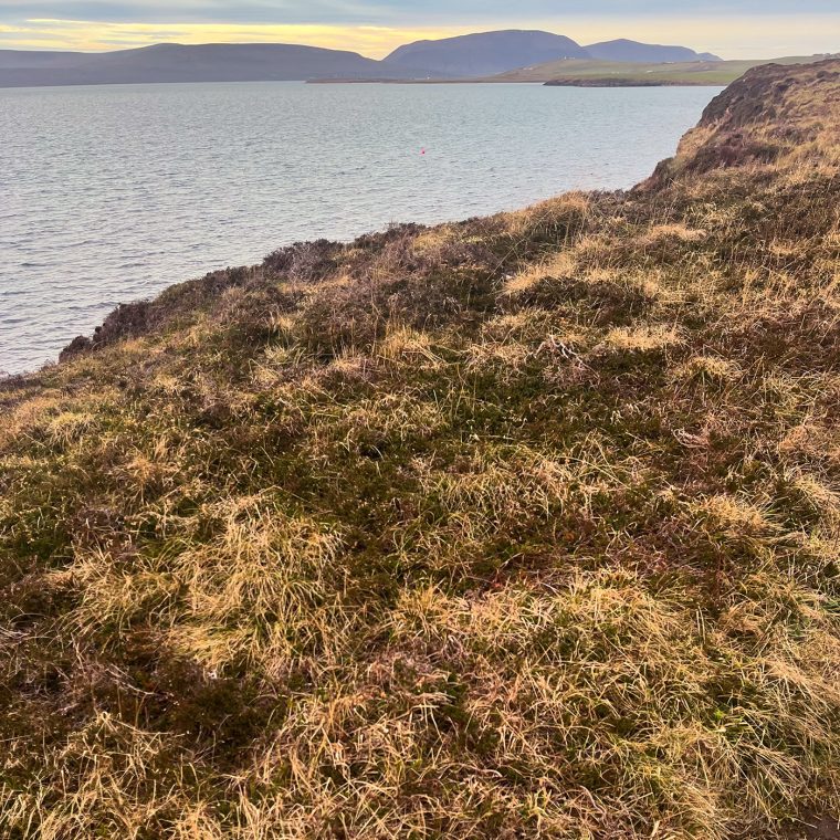Waulkmill to Orphir
