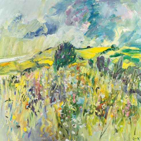 Continuing the Search