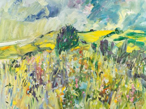 Continuing the Search