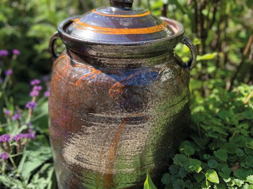 55 Years at Shebbear Pottery