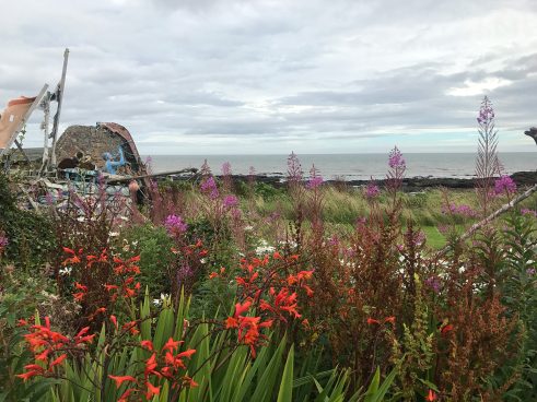 David Cook | Continuing the Search VIII