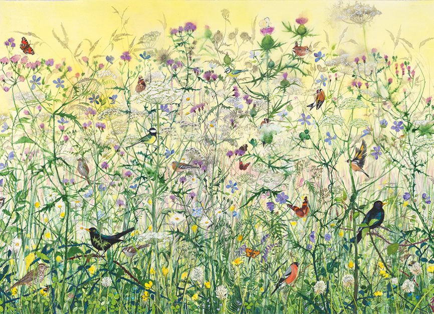 Wild at The Scottish Gallery