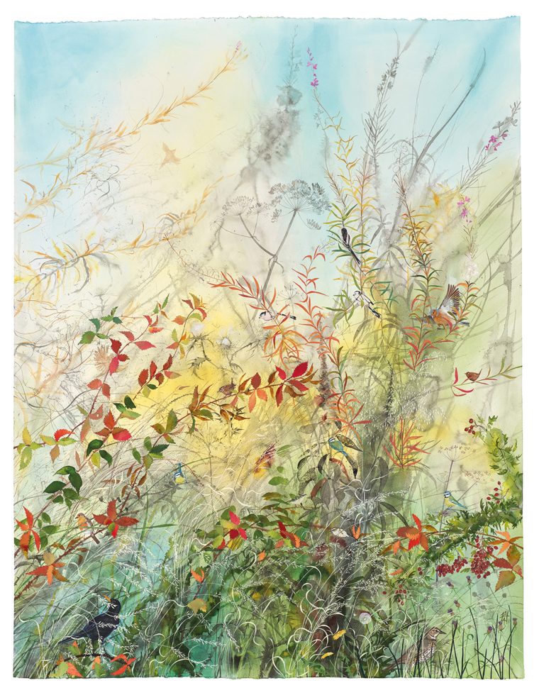 An Autumn Breeze