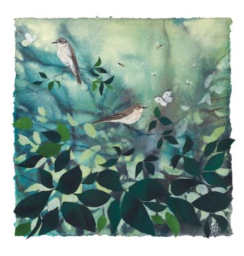 Spotted Flycatchers