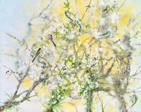 Long-tails Blues and Blossom