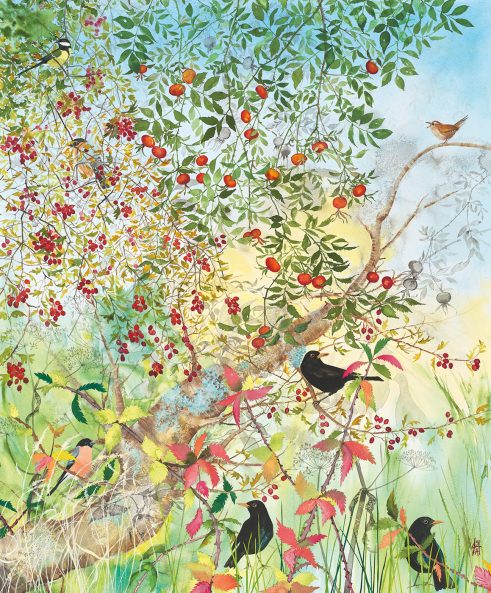Fruits of Autumn