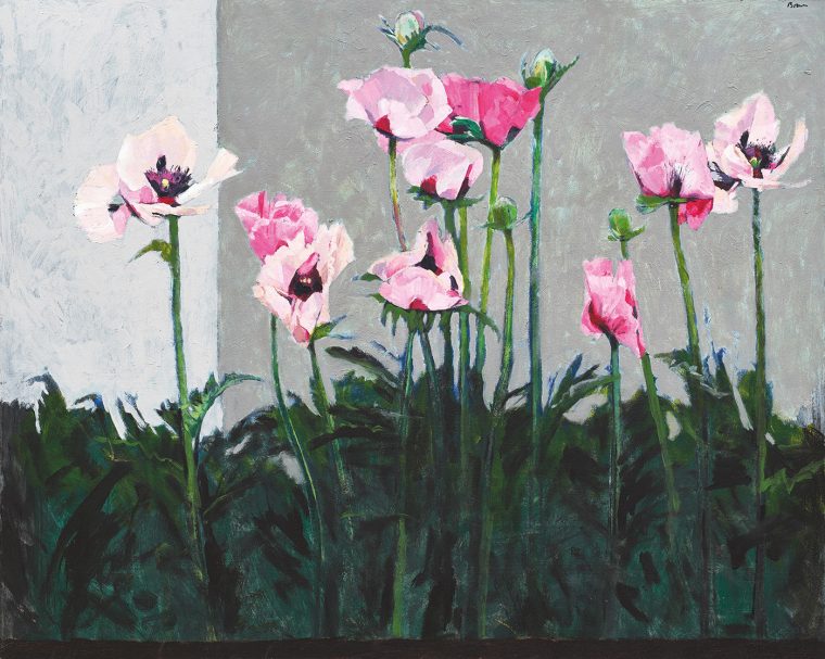 Poppies in the Garden, Pattie’s Plum