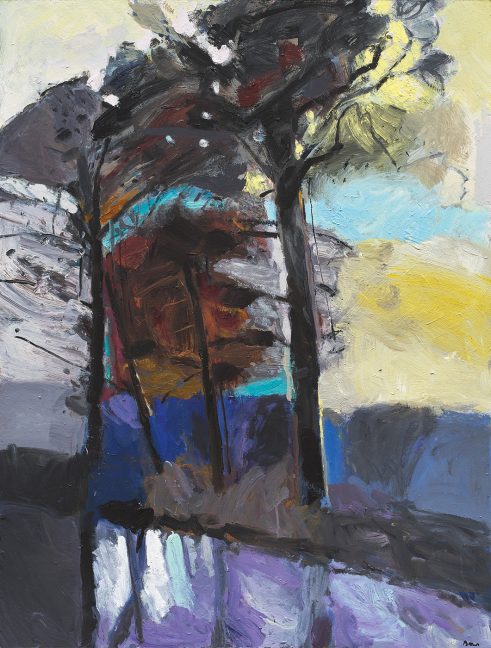 Pinetrees by the Canal
