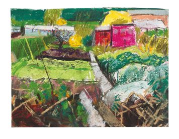 Allotment Series, Sheffield 7