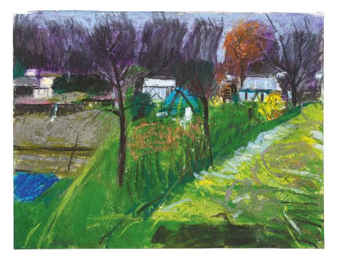 Allotment Series, Sheffield 4