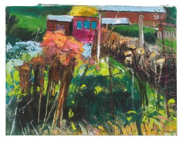Allotment Series, Sheffield 5
