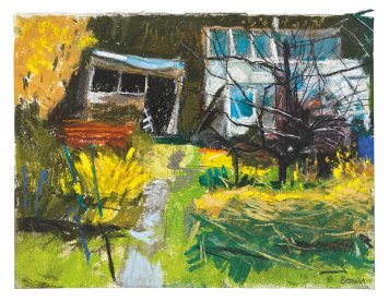 Allotment Series, Sheffield 6