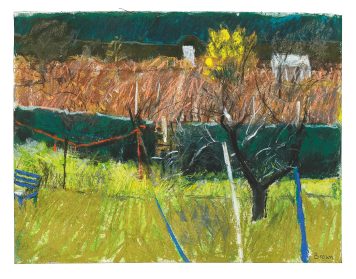 Allotment Series, Sheffield 1