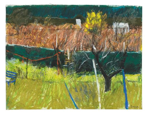Allotment Series, Sheffield 1
