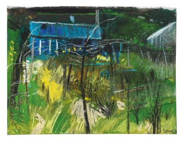 Allotment Series, Sheffield 2