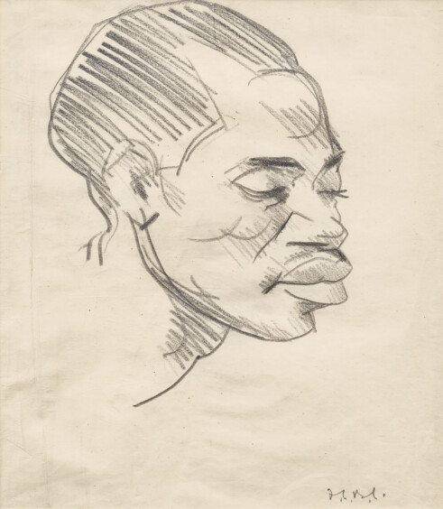 Head Study