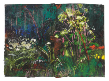 Garden Series 1