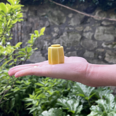 Cut Sided Pot – Medium