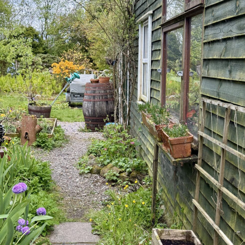 Garden in bloom