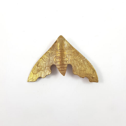 Bronze Lime Hawk Moth Brooch