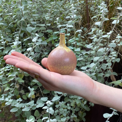 Miniature Pot – Extra Large
