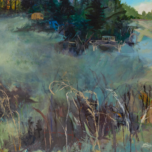 Grasslands