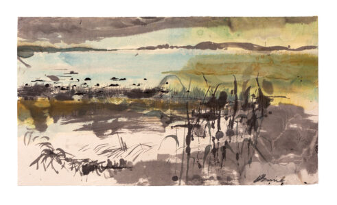 Salt Marsh Tideline
