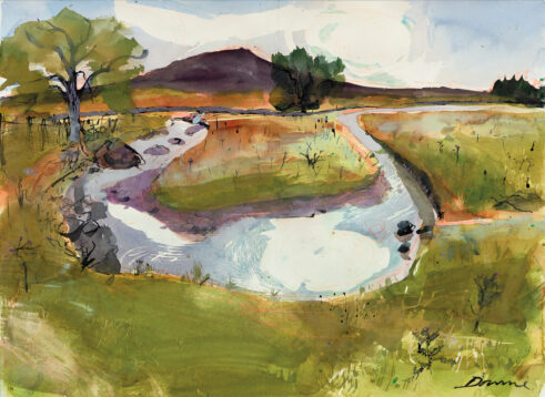 Banks and Braes