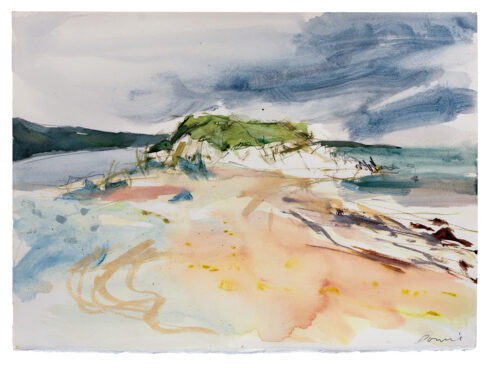 Grass Knoll, Norwick Beach