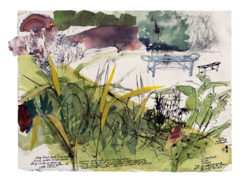 Field Notes Study