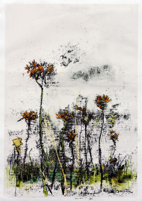 Fox and Cubs