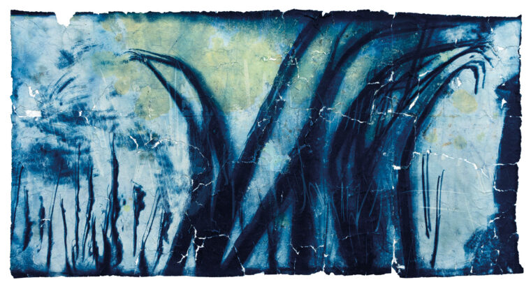Fragility