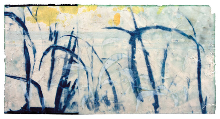 Fjord Grass I