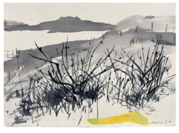 Bog Rushes, Shetland