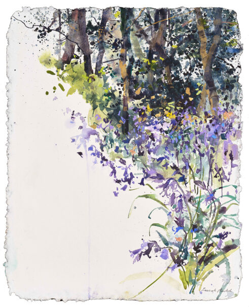 Bluebells