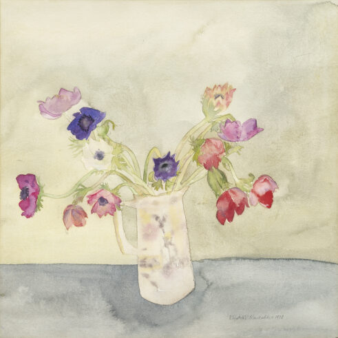Anemones in a Jug