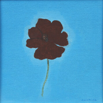 Cosmos